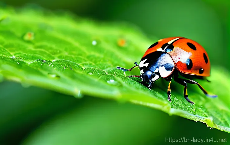 레이디버그가 주는 교훈 - The Industrious Garden Guardian**
A vibrant, high-definition macro photograph captures a cluster of ...