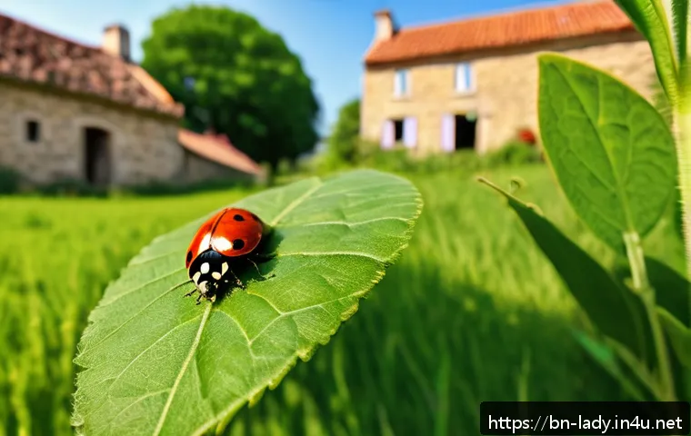 프랑스 문화와 레이디버그의 연결성 - A vibrant close-up of a traditional French countryside scene featuring a bright red ladybird with se...
