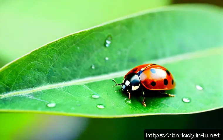 Home 17 레이디버그 사회적 메시지 - Photorealistic close-up of a bright red ladybug resting on a green leaf beside several differently c...
